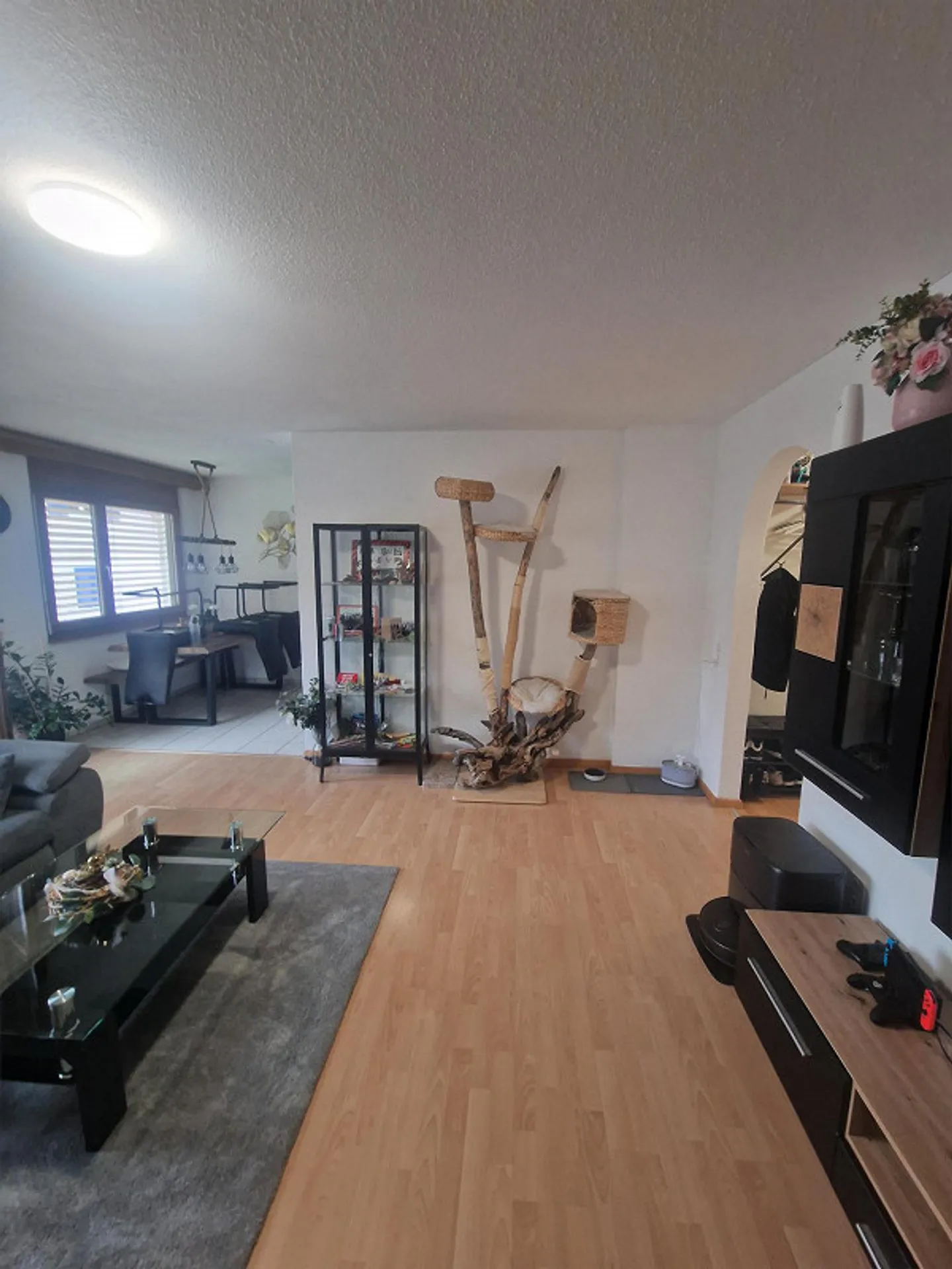 4.5 Room Apartment in Rhäzüns - Photo 4 of 21