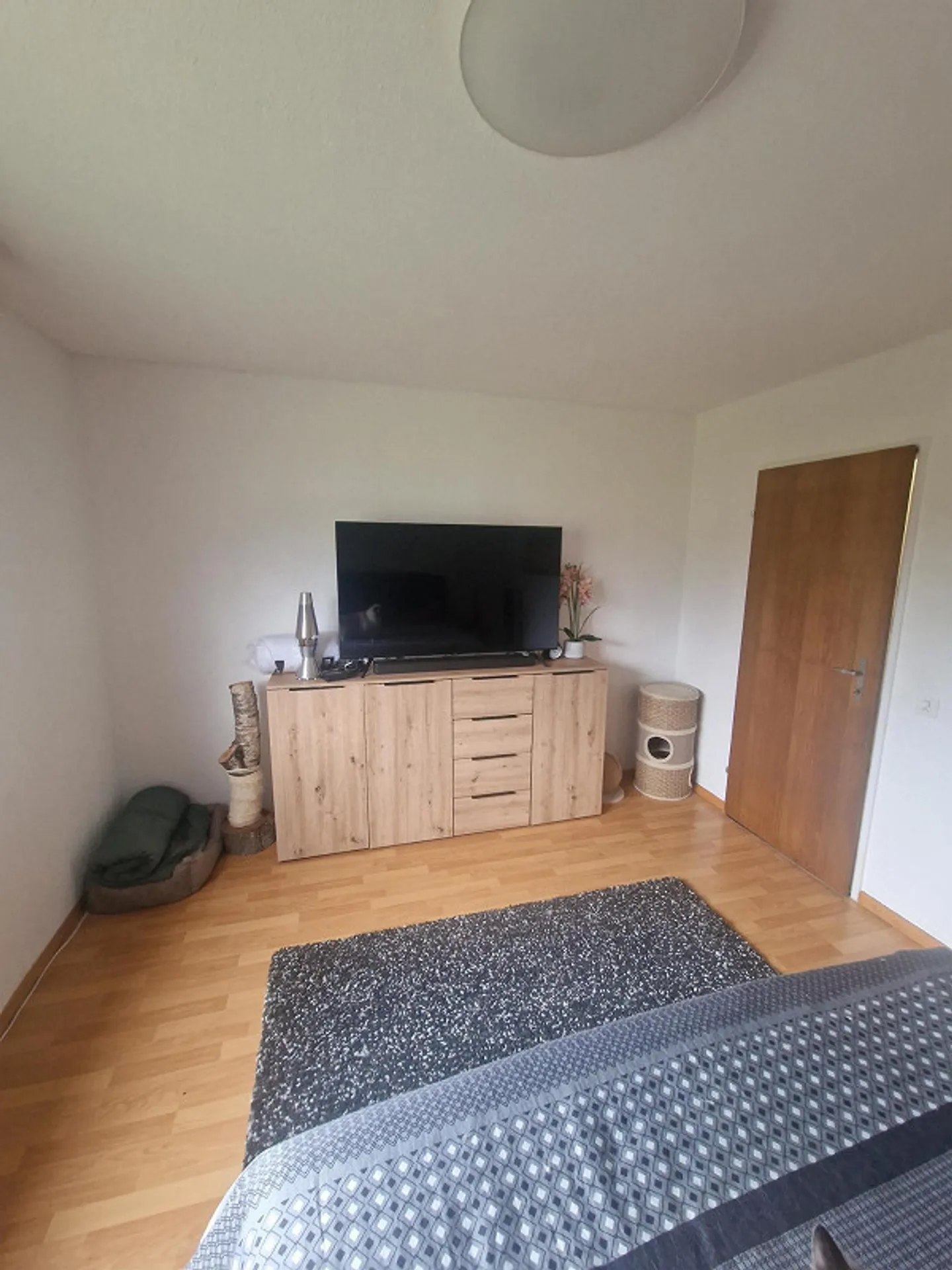 4.5 Room Apartment in Rhäzüns - Photo 15 of 21