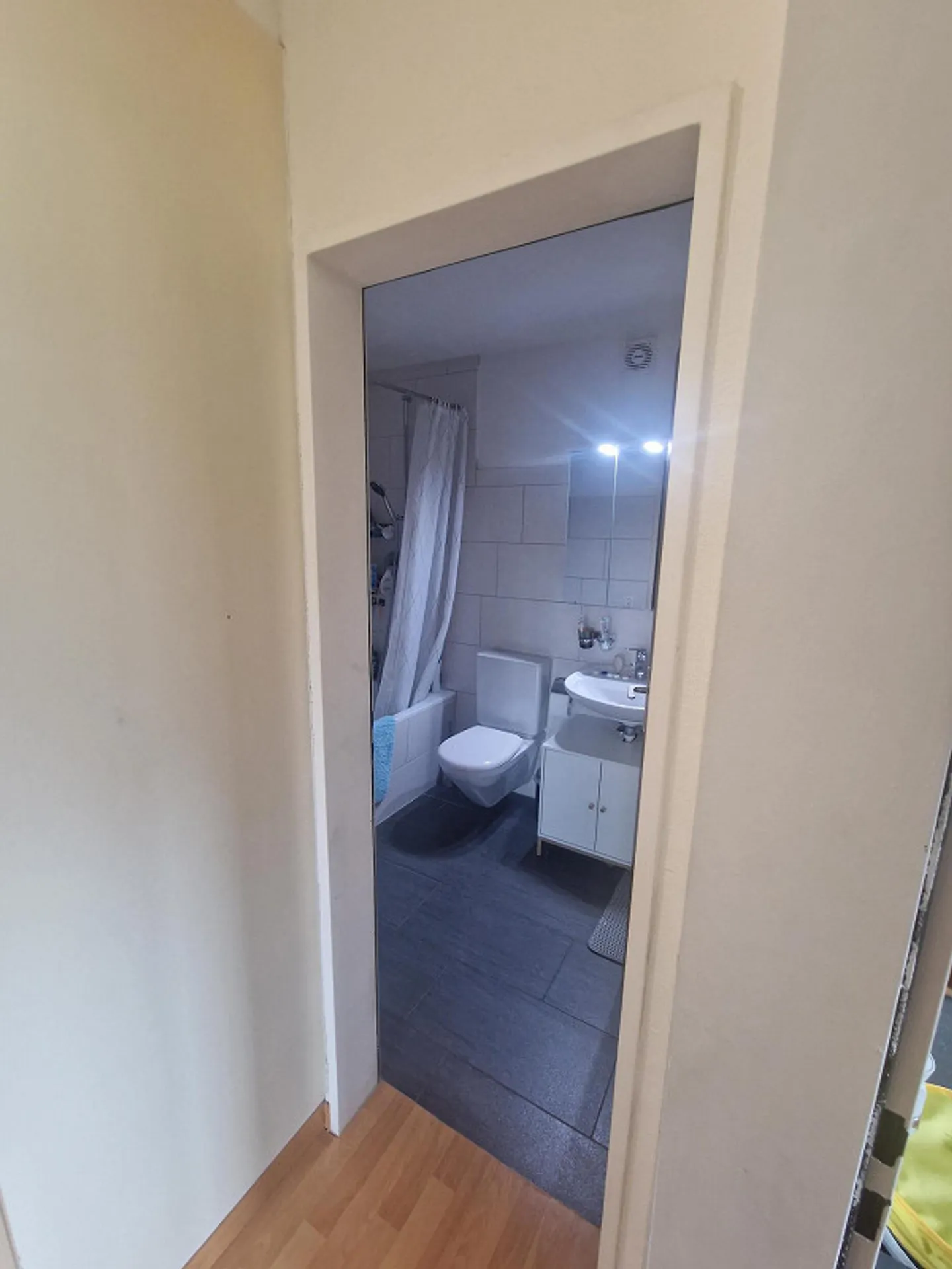 4.5 Room Apartment in Rhäzüns - Photo 18 of 21