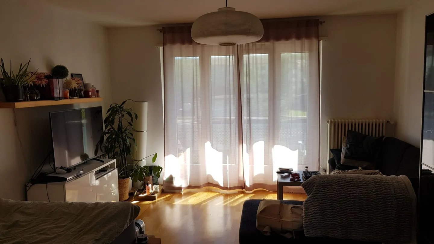 Weissenbühlquartier - centrally and beautifully living - Photo 8 of 9