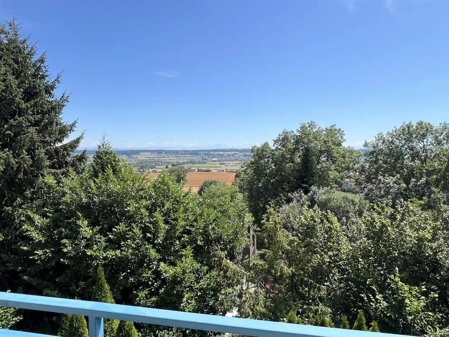 Dreamlike maisonette with panoramic views of Lake Seeland and the Alps - quietly located in Bettlach - Photo 5 of 13