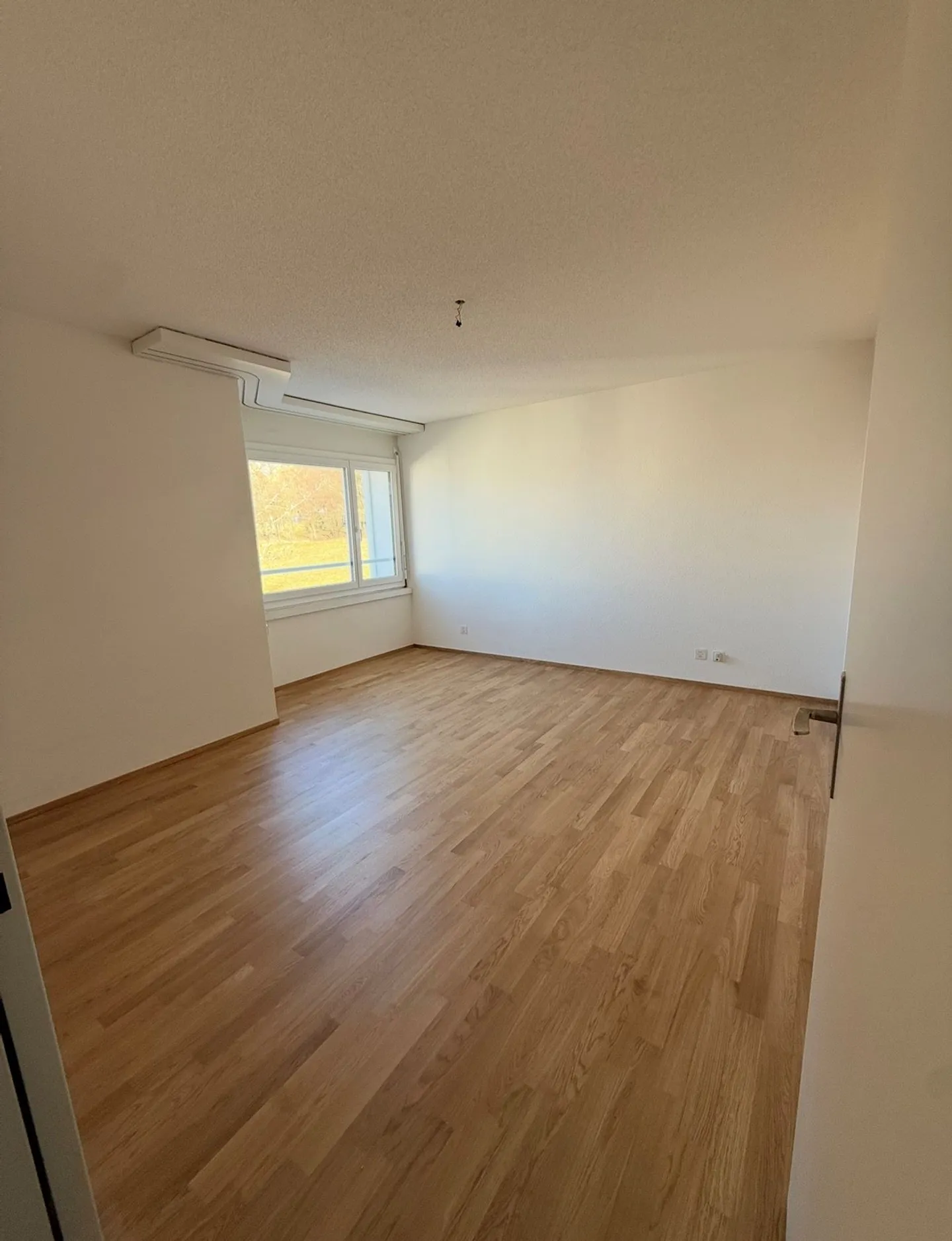 Vivere nel verde con balcone e sole serale - Foto 5 di 5