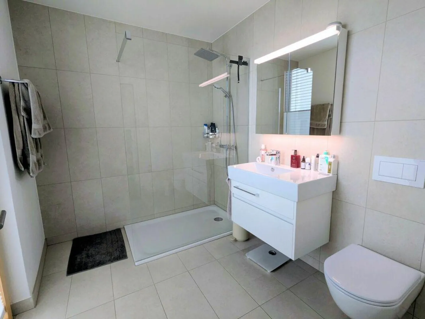 Appartement Attique Stylé à Zurich - Photo 8 sur 15