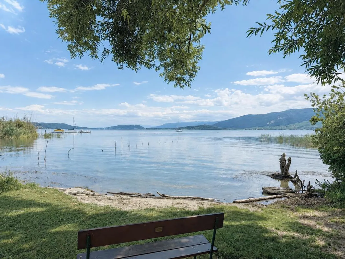 Grande parcelle de terrain à bâtir au bord du lac de Bienne avec potentiel. Résidence principale et secondaire possible ! - Photo 19 sur 22