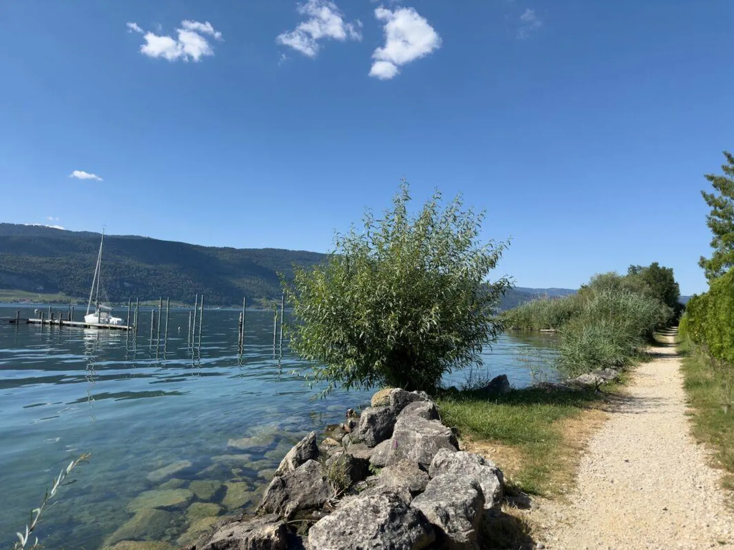 Grande parcelle de terrain à bâtir au bord du lac de Bienne avec potentiel. Résidence principale et secondaire possible ! - Photo 20 sur 22