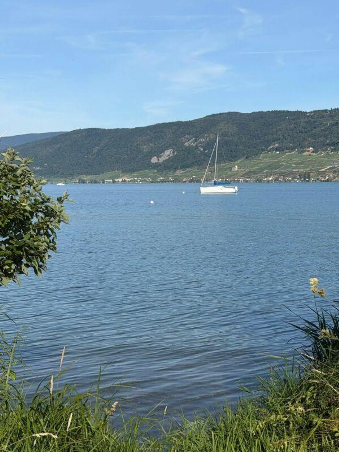 Grande parcelle de terrain à bâtir au bord du lac de Bienne avec potentiel. Résidence principale et secondaire possible ! - Photo 21 sur 22