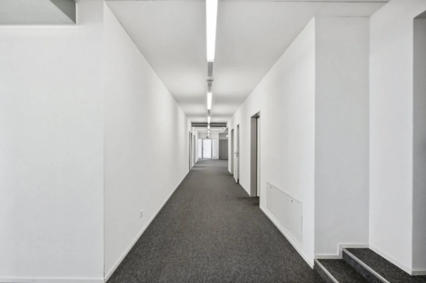 Ensemble plutôt que seul - Espace de travail partagé directement au Centre Stannioli - Photo 9 sur 13