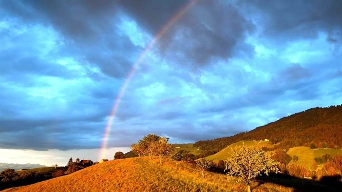 APPARTEMENT PENTHOUSE DE 2 CHAMBRES À HÜTTEN (ZH), MEUBLÉ, TEMPORAIRE - Photo 5 sur 9