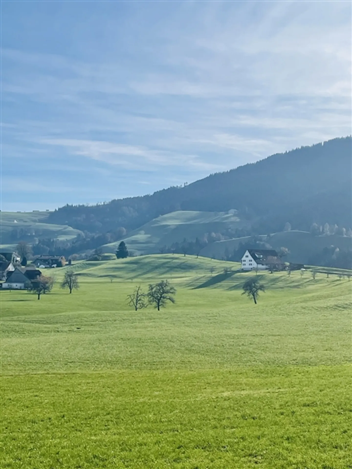 APPARTEMENT PENTHOUSE DE 2 CHAMBRES À HÜTTEN (ZH), MEUBLÉ, TEMPORAIRE - Photo 6 sur 9
