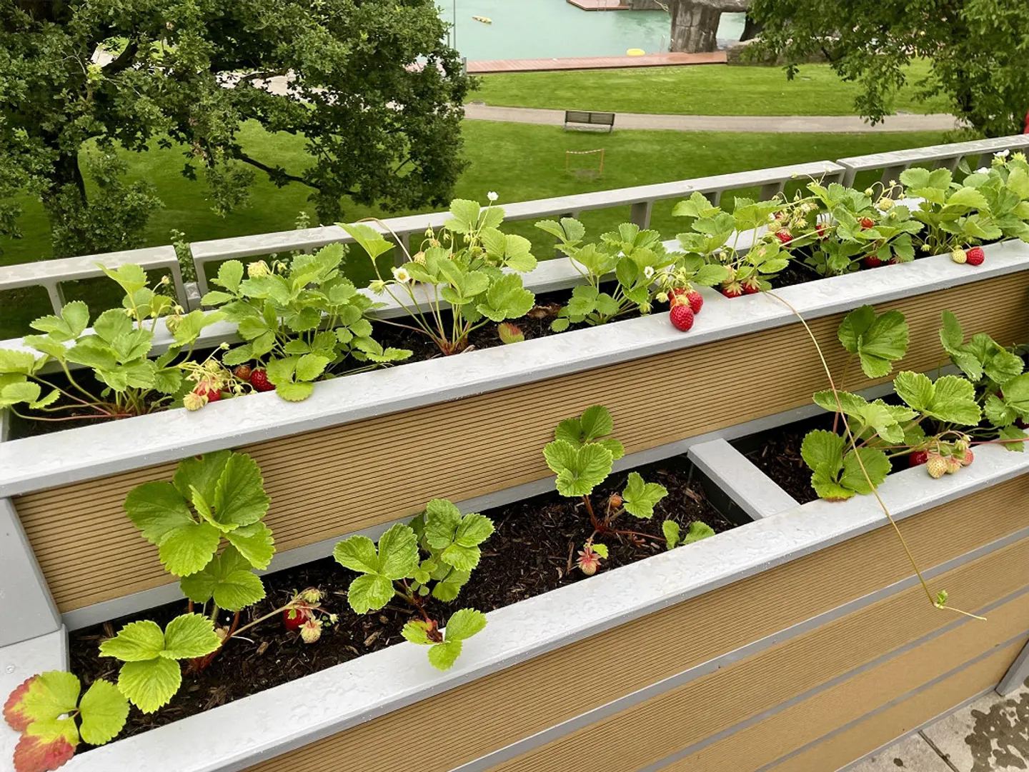 Bellissimo appartamento arredato di 3.5 stanze con una grande terrazza - Foto 9 di 9