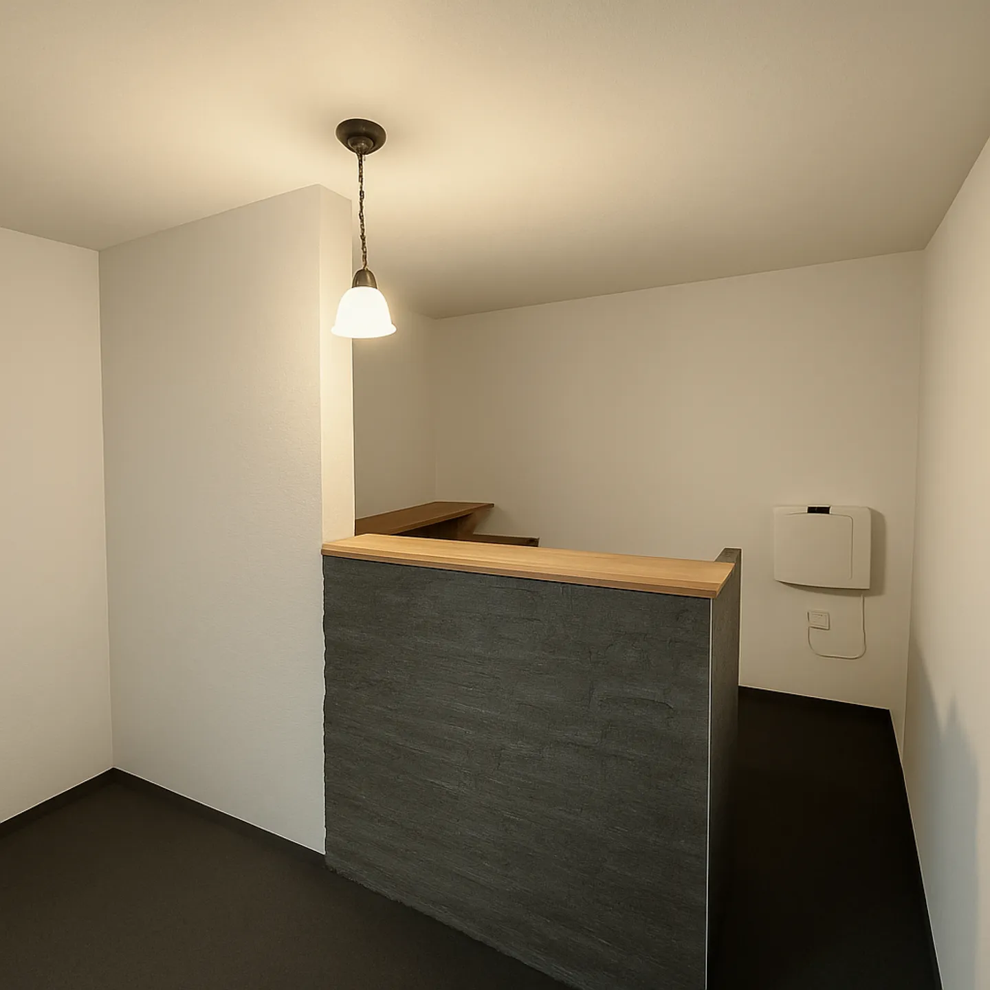 Salle de musique - 20 m2 pour la musique, l'atelier ou les projets bruyants - Photo 1 sur 5