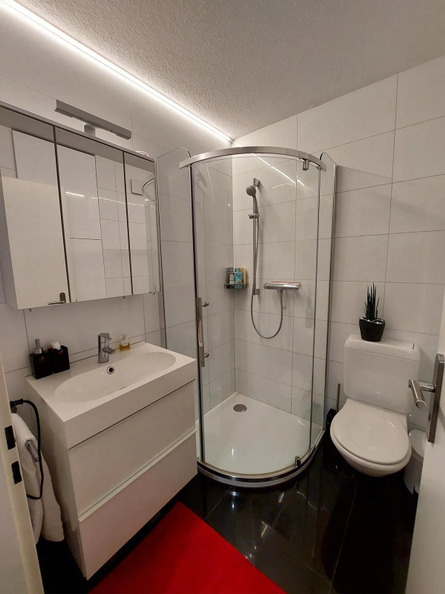 Appartement 1,5 pièces amical - Photo 4 sur 8