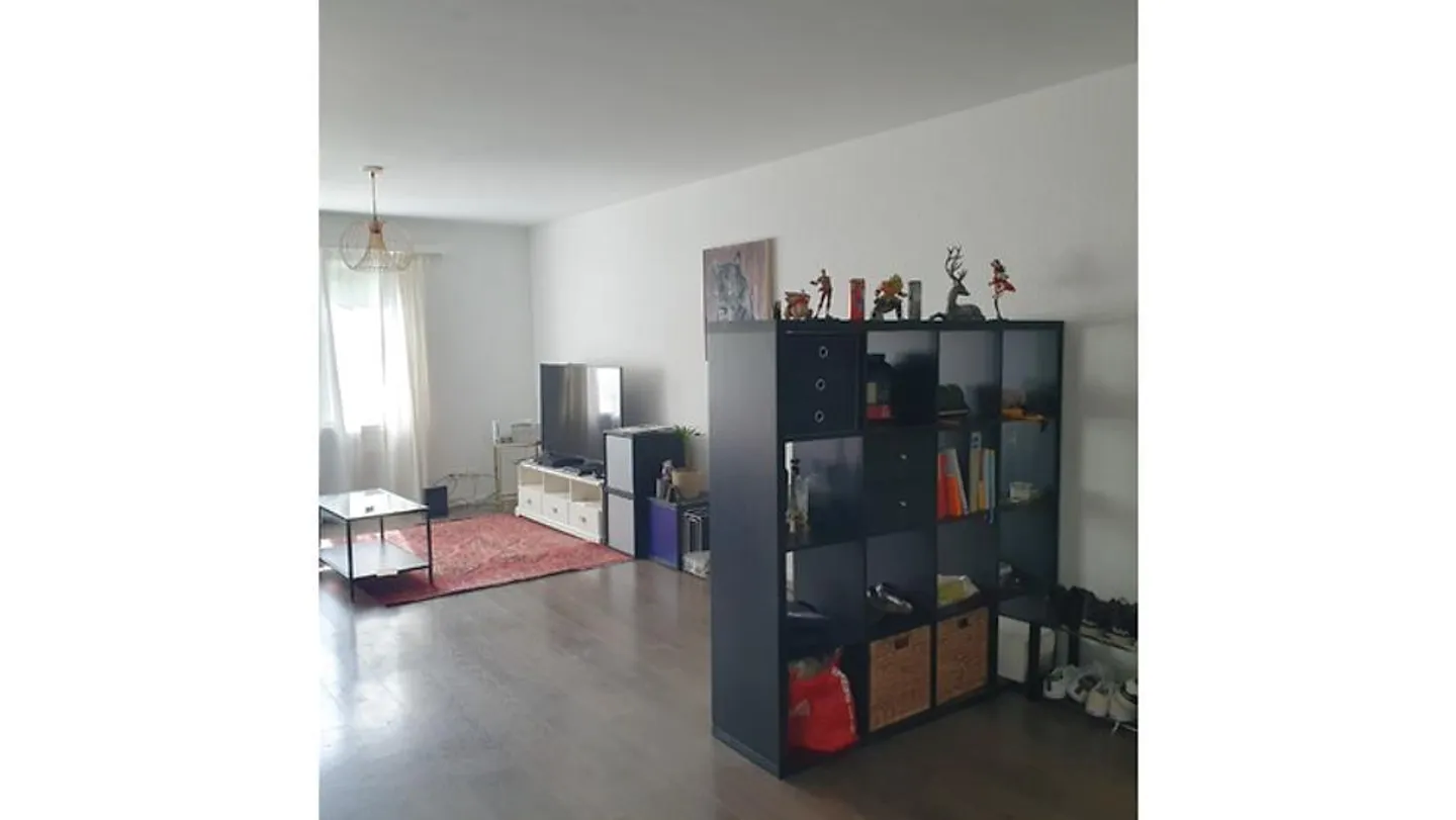 Appartamento Incantevole per Amanti dei Gatti - Foto 2 di 8