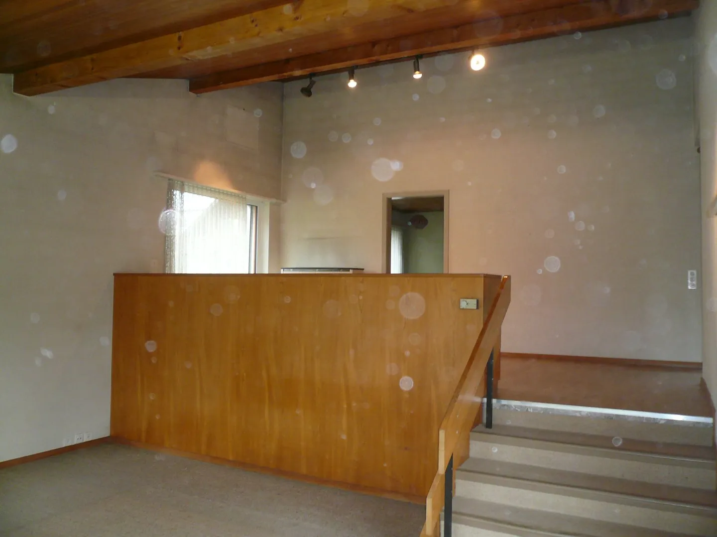 Maison individuelle de 4,5 pièces en rez-de-chaussée ensoleillée dans un endroit calme de Koppigen - Photo 6 sur 13