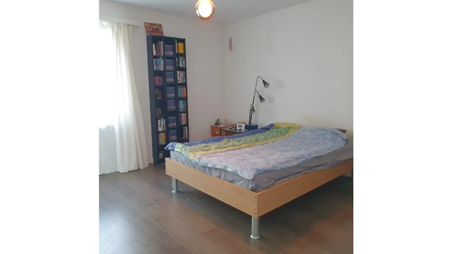 Appartamento Incantevole per Amanti dei Gatti - Foto 5 di 8