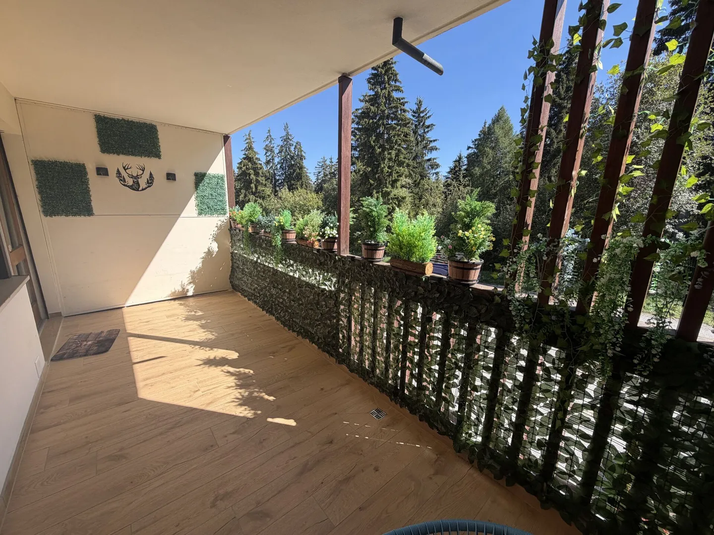 1.5 room apartment in Crans-Montana - Seasonal rental - Photo 1 of 2
