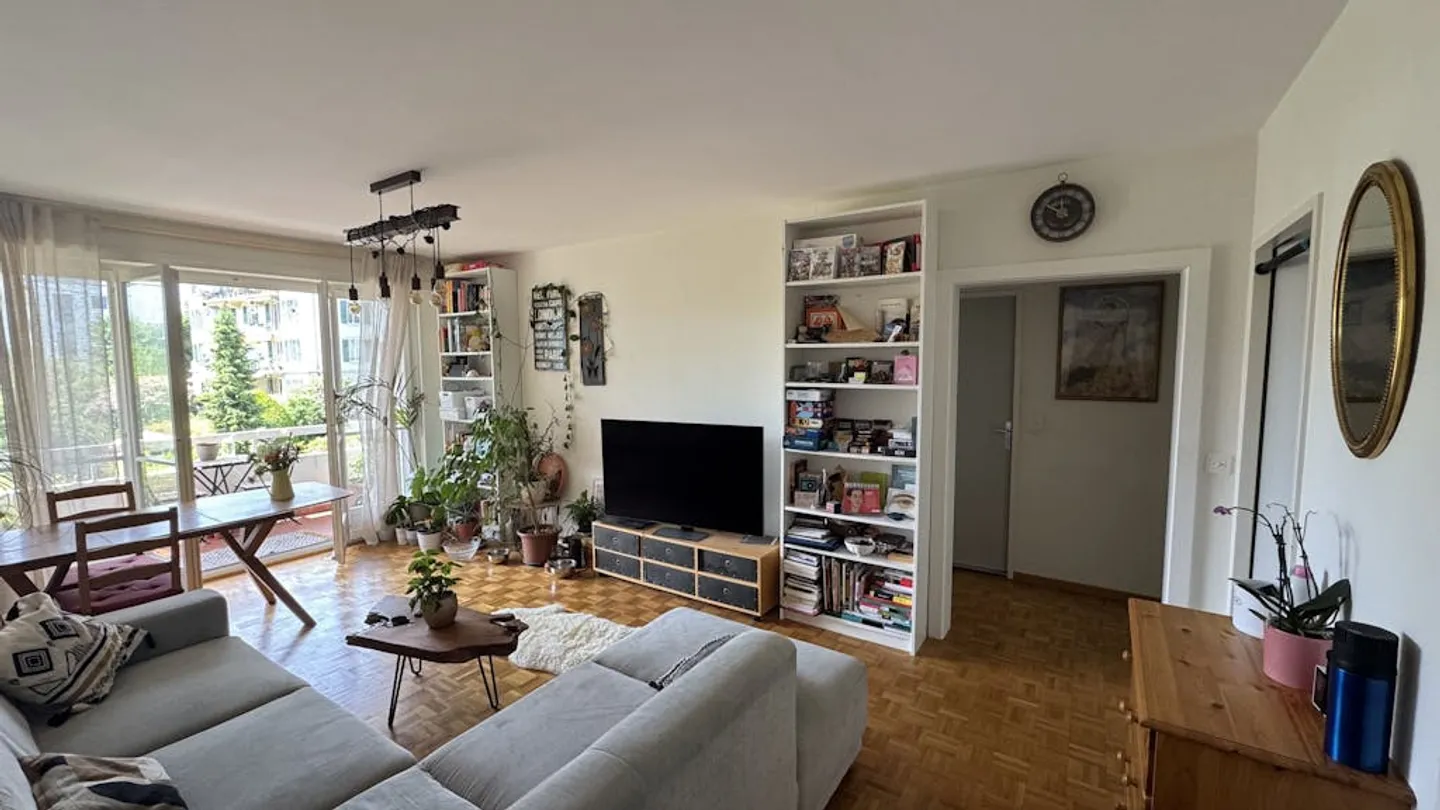 Furnished sublet in Nyon (VD) - March to August 2026 - Photo 1 of 10