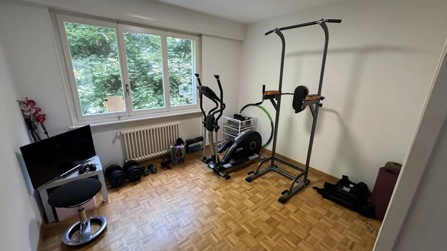 Furnished sublet in Nyon (VD) - March to August 2026 - Photo 7 of 10