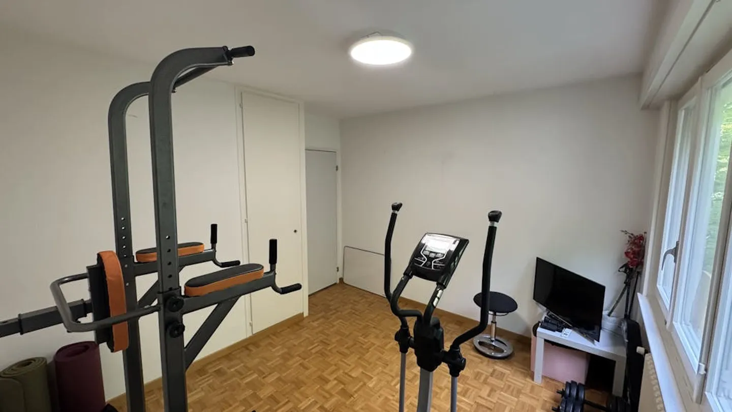 Furnished sublet in Nyon (VD) - March to August 2026 - Photo 8 of 10