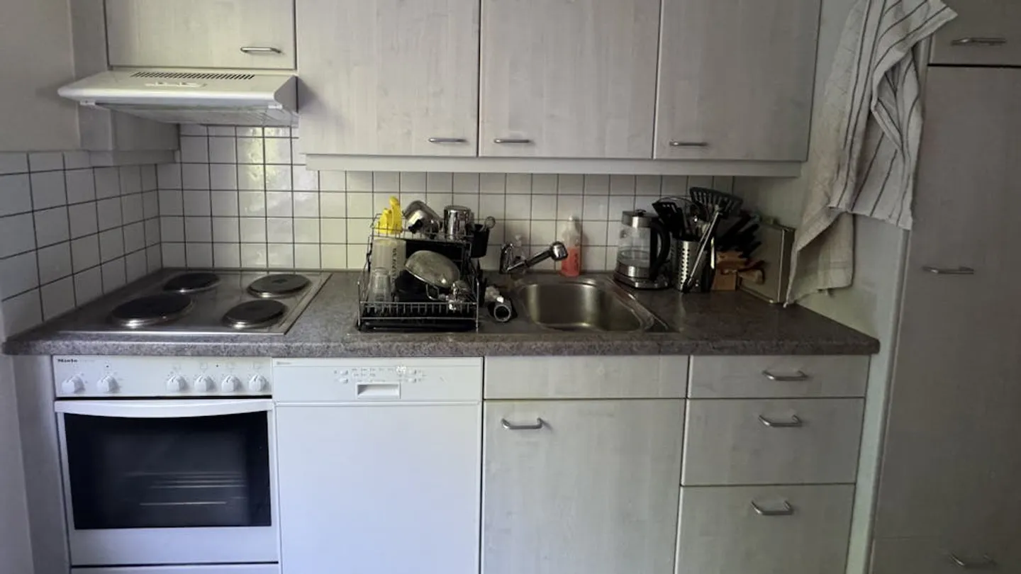 Furnished sublet in Nyon (VD) - March to August 2026 - Photo 6 of 10