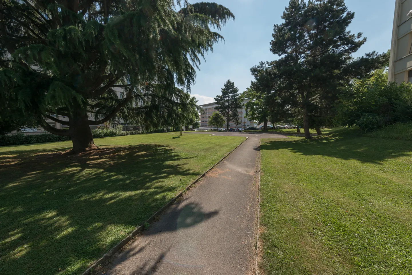 Nelle altezze di Renens - Foto 2 di 3