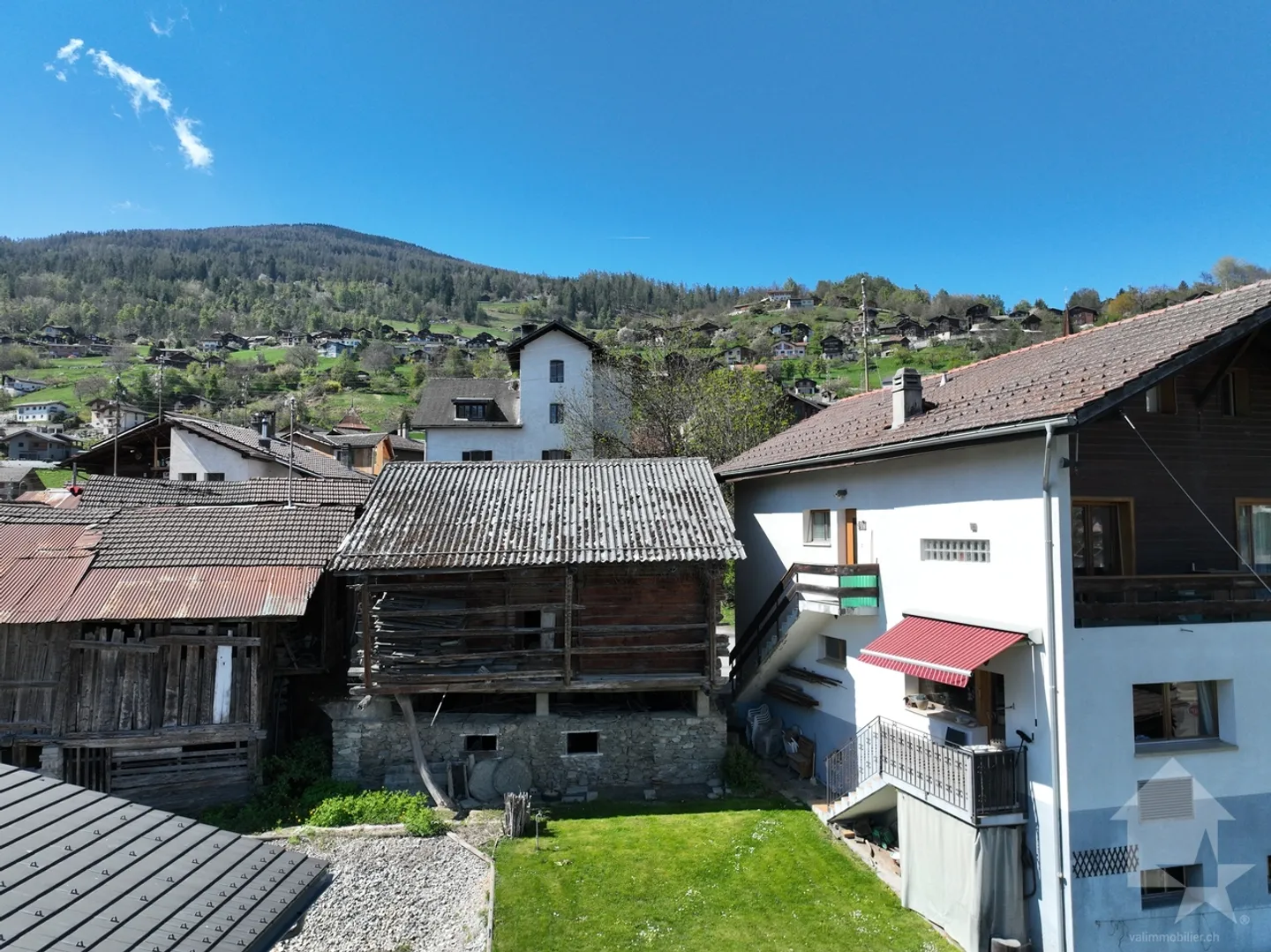 Charming Raccard in Vex Village - Photo 1 of 3