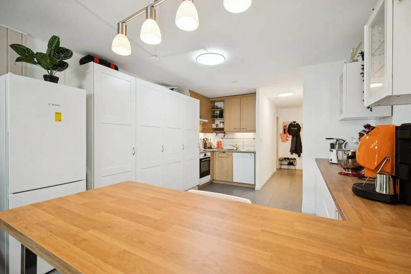 Two and a half room apartment with two bathrooms and passage - Photo 3 of 11