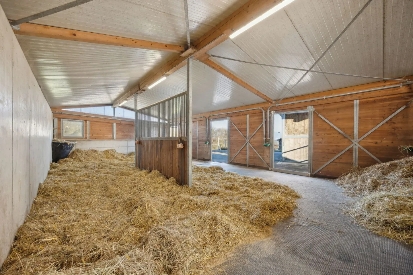 EQUESTRIAN PROPERTY WITH TWO RESIDENTIAL UNITS AND THE POSSIBILITY FOR INDIVIDUAL HORSE KEEPING - Photo 6 of 15
