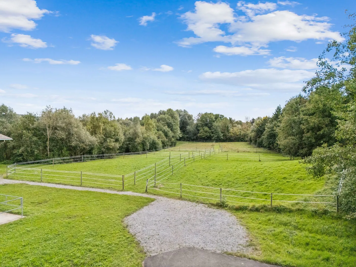 KOMPAKTE REITSPORTIMMOBILIE MIT WOHNHAUS, PFERDESTALL UND REITHALLE IN BASADINGEN TG - Foto 3 von 10