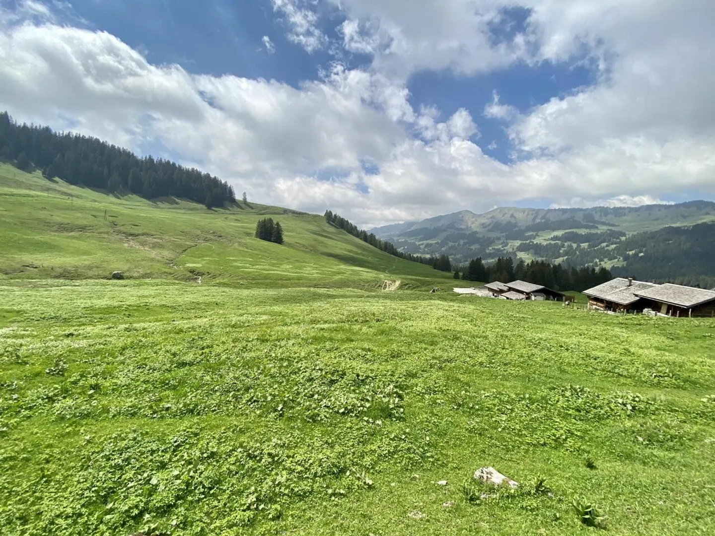 ChateauShares Investment Opportunity - Photo 1 of 4