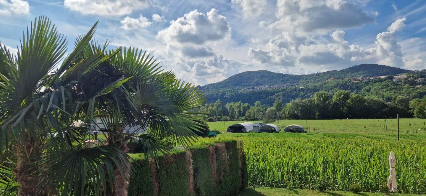 Casa unifamiliare indipendente e ben curata con piscina - Foto 20 di 20