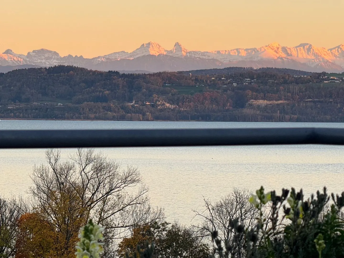 Villa Les Génois - Photo 7 sur 15