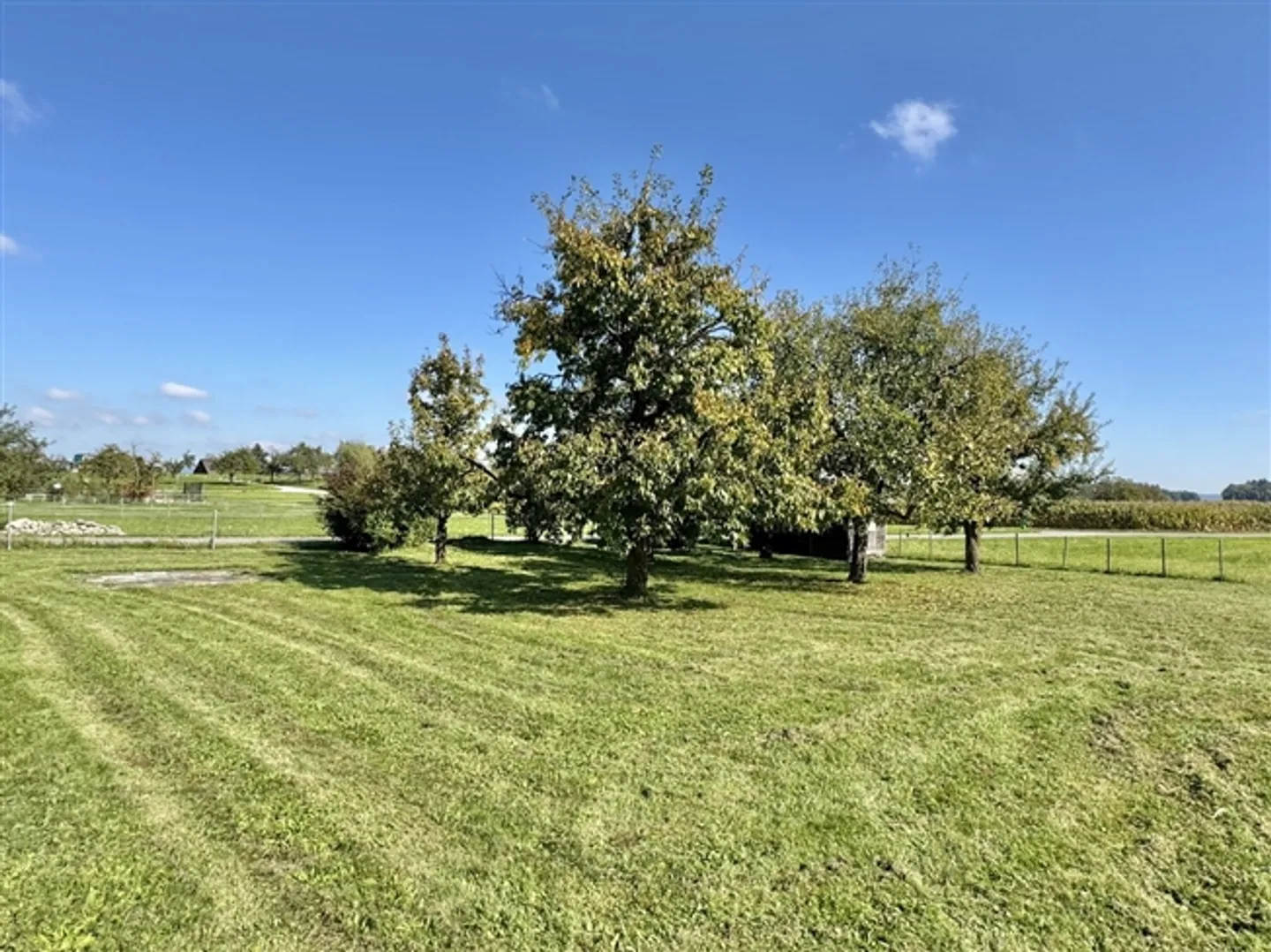 Well-kept timber house in idyllic location - Photo 14 of 15