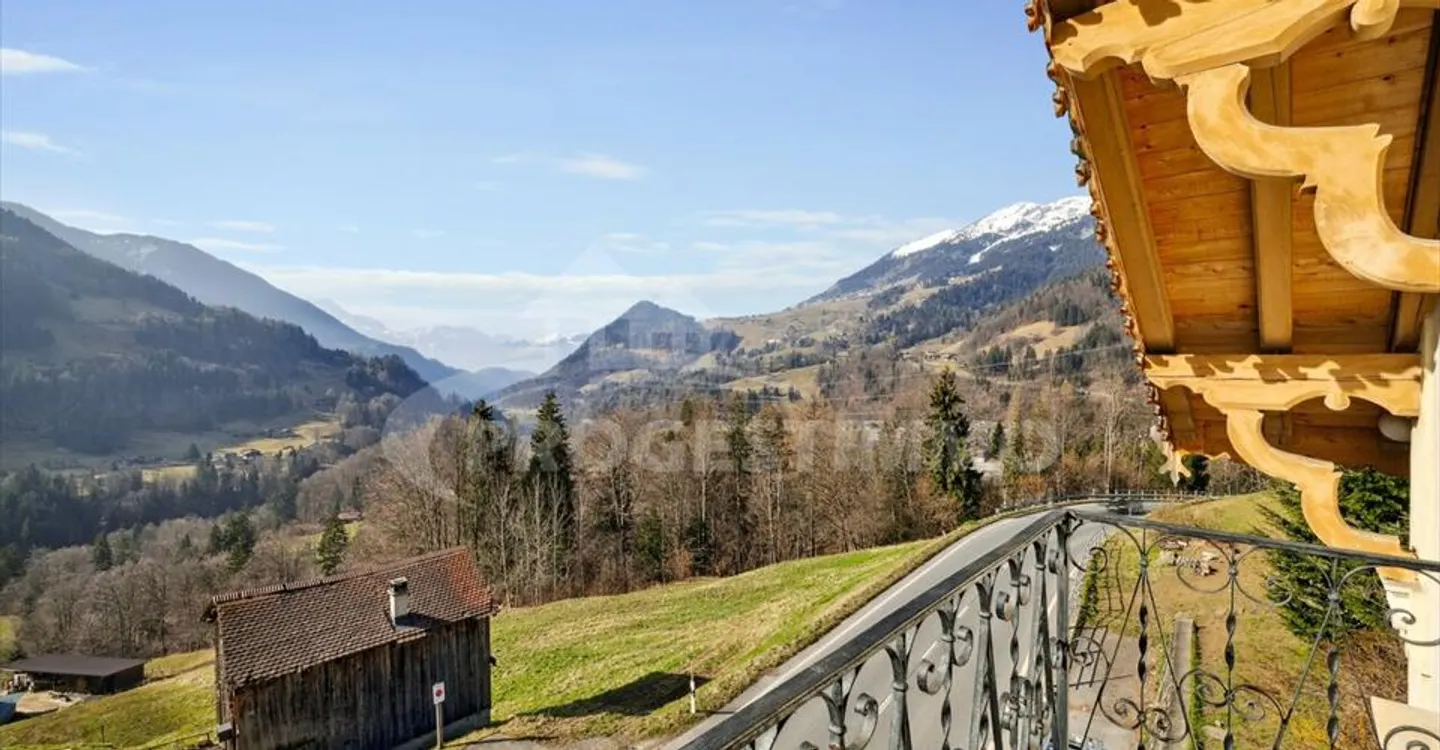 ECCEZIONALE - GRANDE CASA DA RISTRUTTURARE - Foto 3 di 10