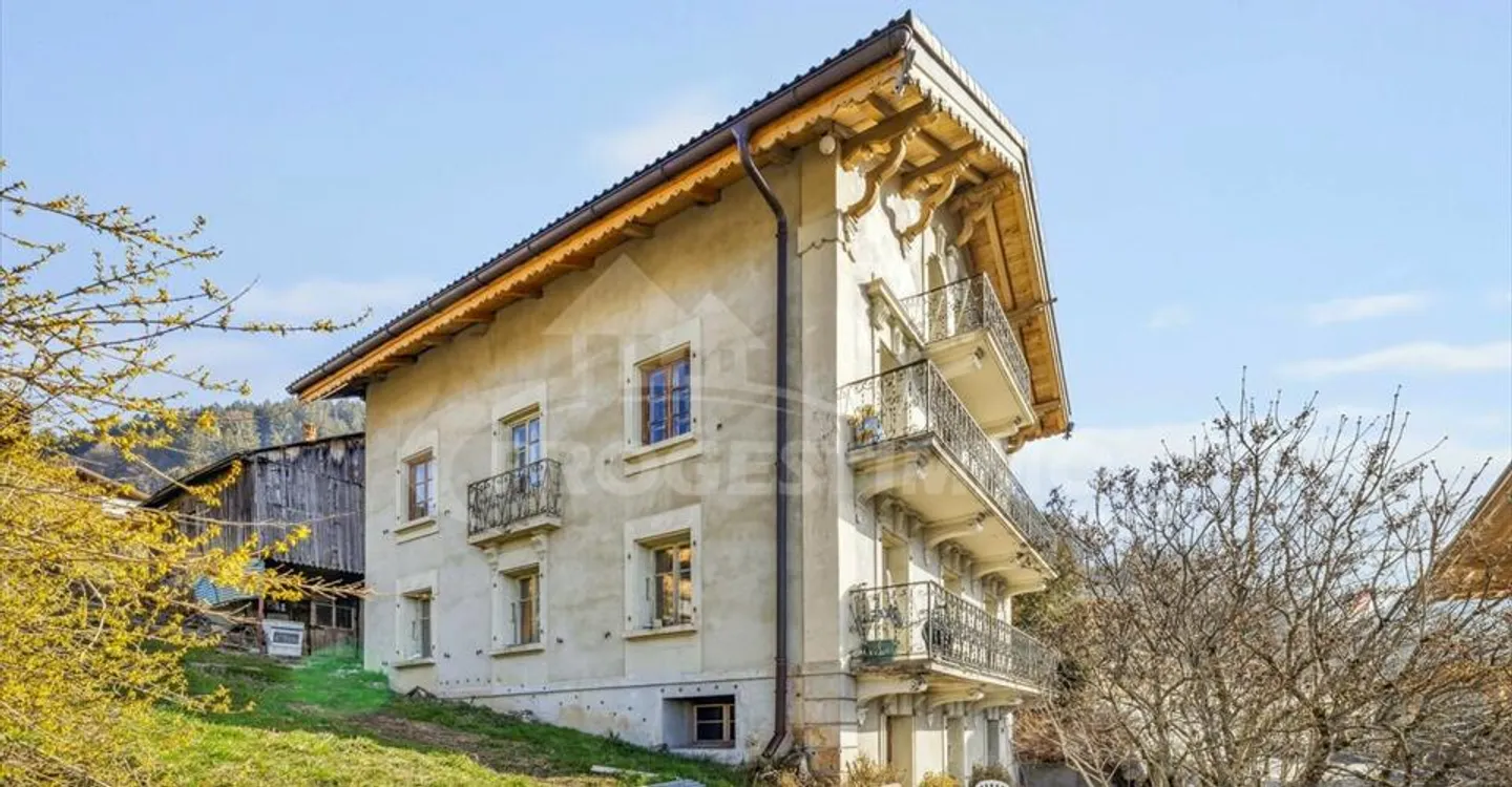 ECCEZIONALE - GRANDE CASA DA RISTRUTTURARE - Foto 7 di 10