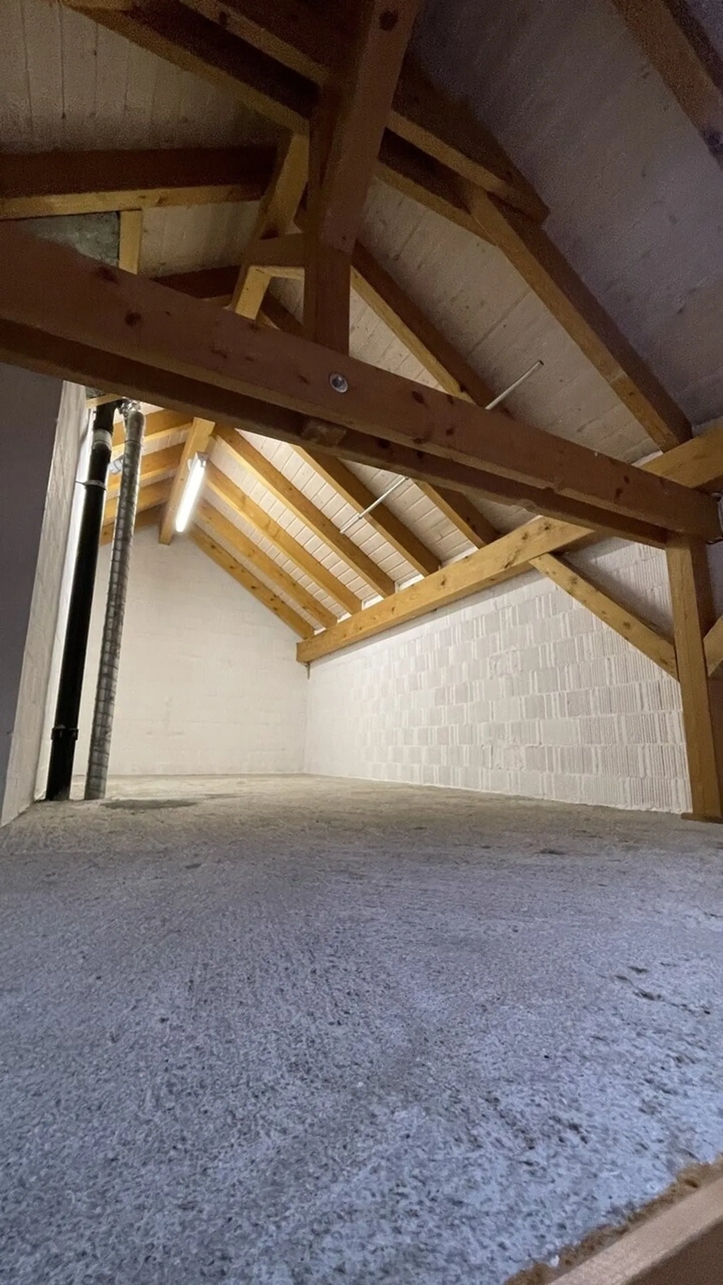 Spacious apartment ideal for families or shared living - Photo 11 of 12