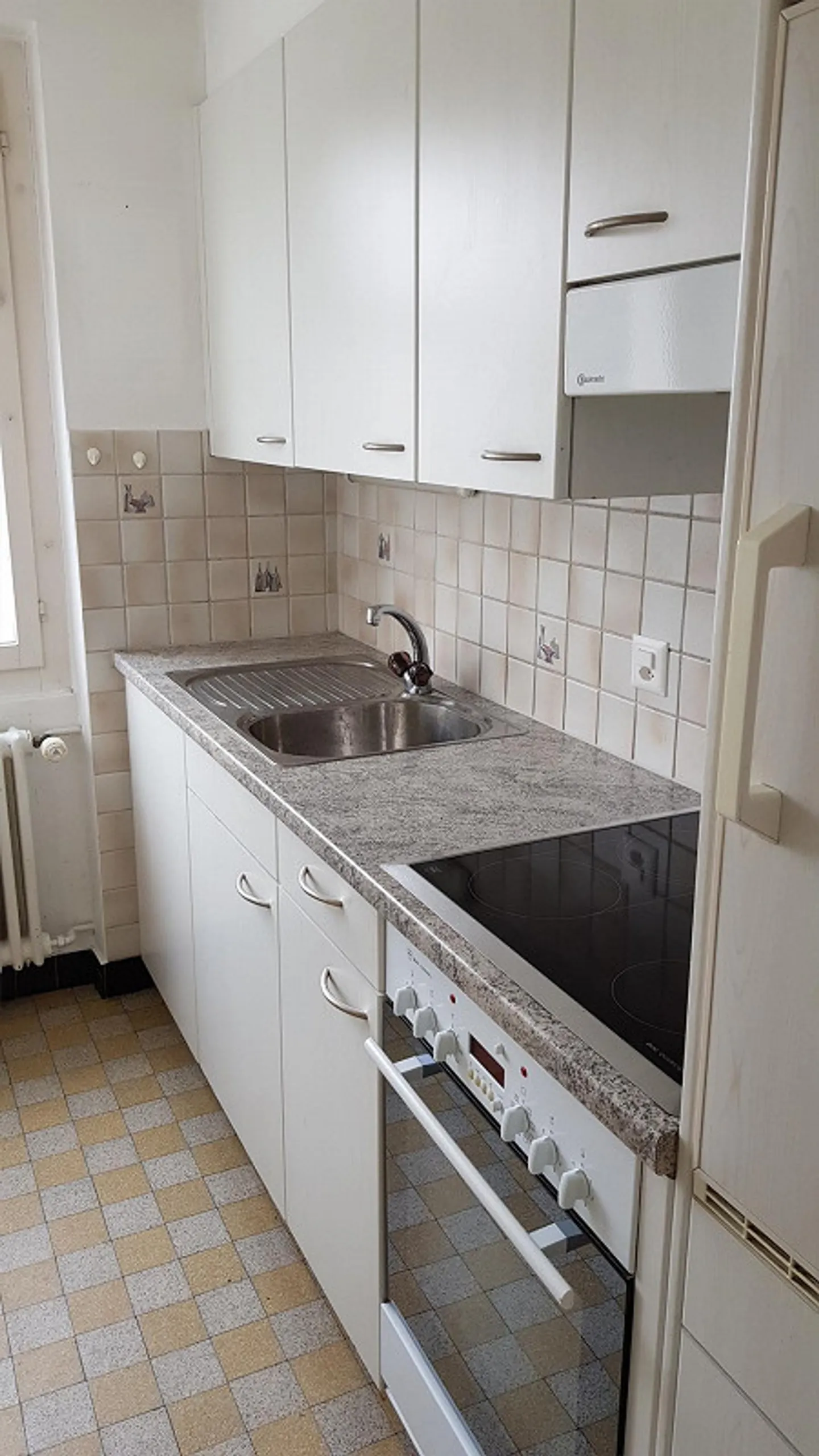 Beautiful old-style apartment near Lyss train station - Photo 3 of 4