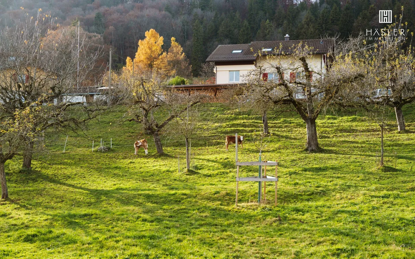 Moderne 3½- (4½-) Zimmer-Wohnung im Minergie-Standard - Foto 5 von 10
