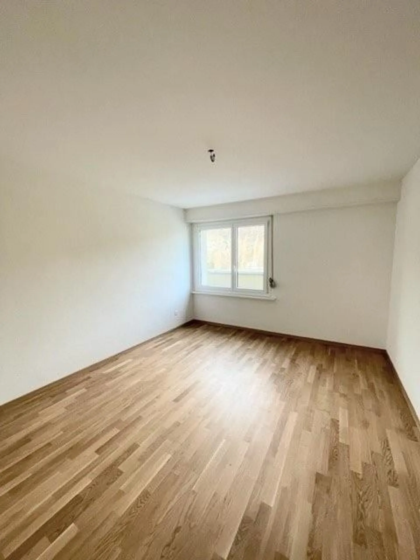 Charmante Wohnung in Biel - Foto 5 von 6