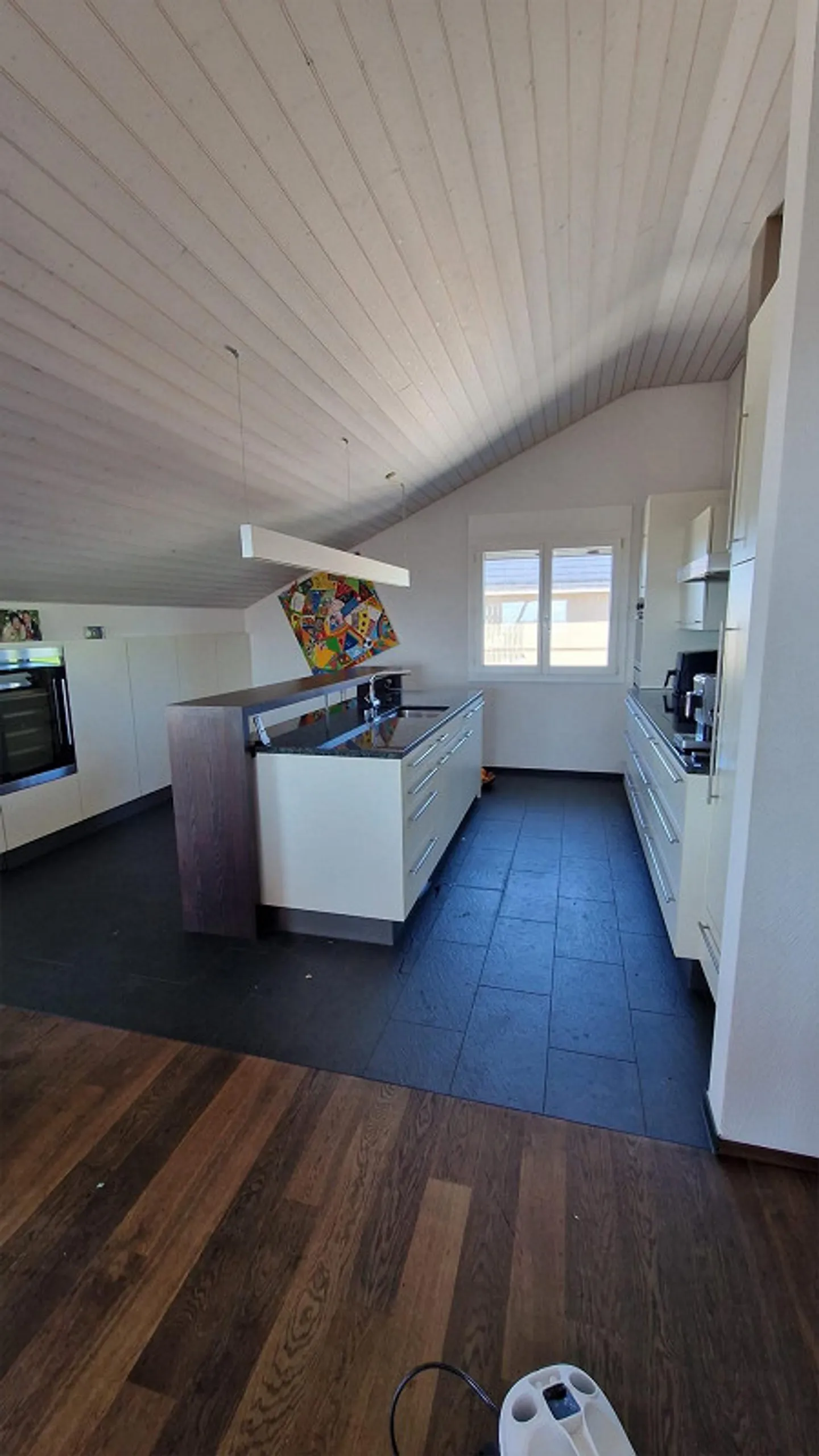 Appartamento 4.5 stanze con terrazza eccezionale - Foto 5 di 14