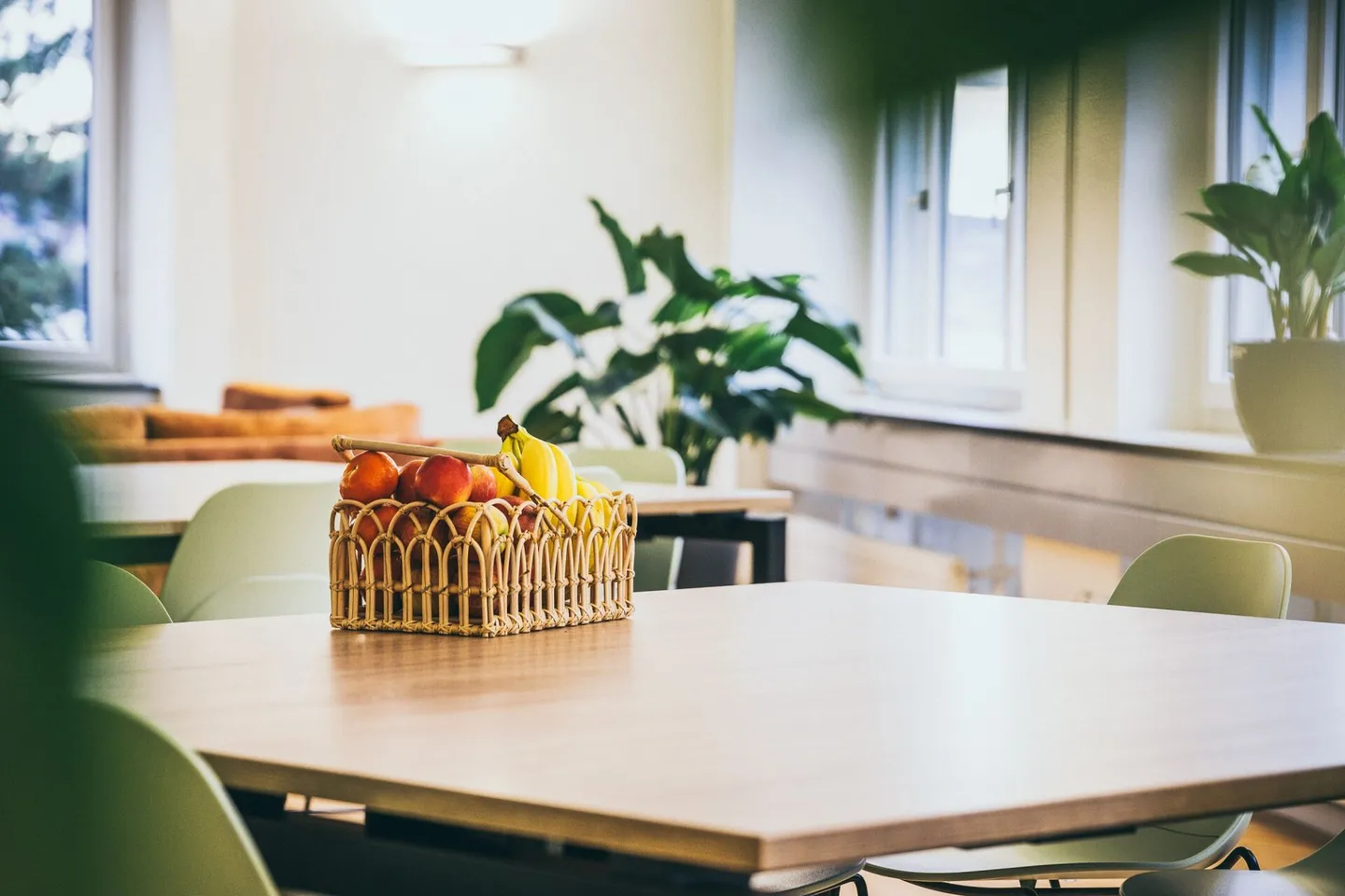 Friesenberg 75 - Un travail panoramique pour plus de succès - Photo 13 sur 18