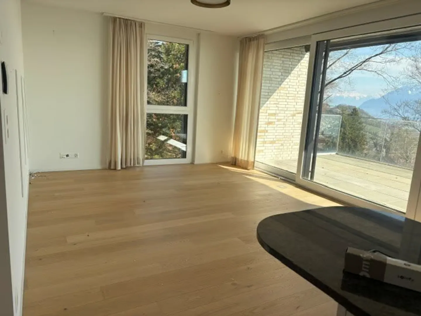 Beautiful 3.5 room apartment with a nice view of the lake and mountains - Photo 8 of 10