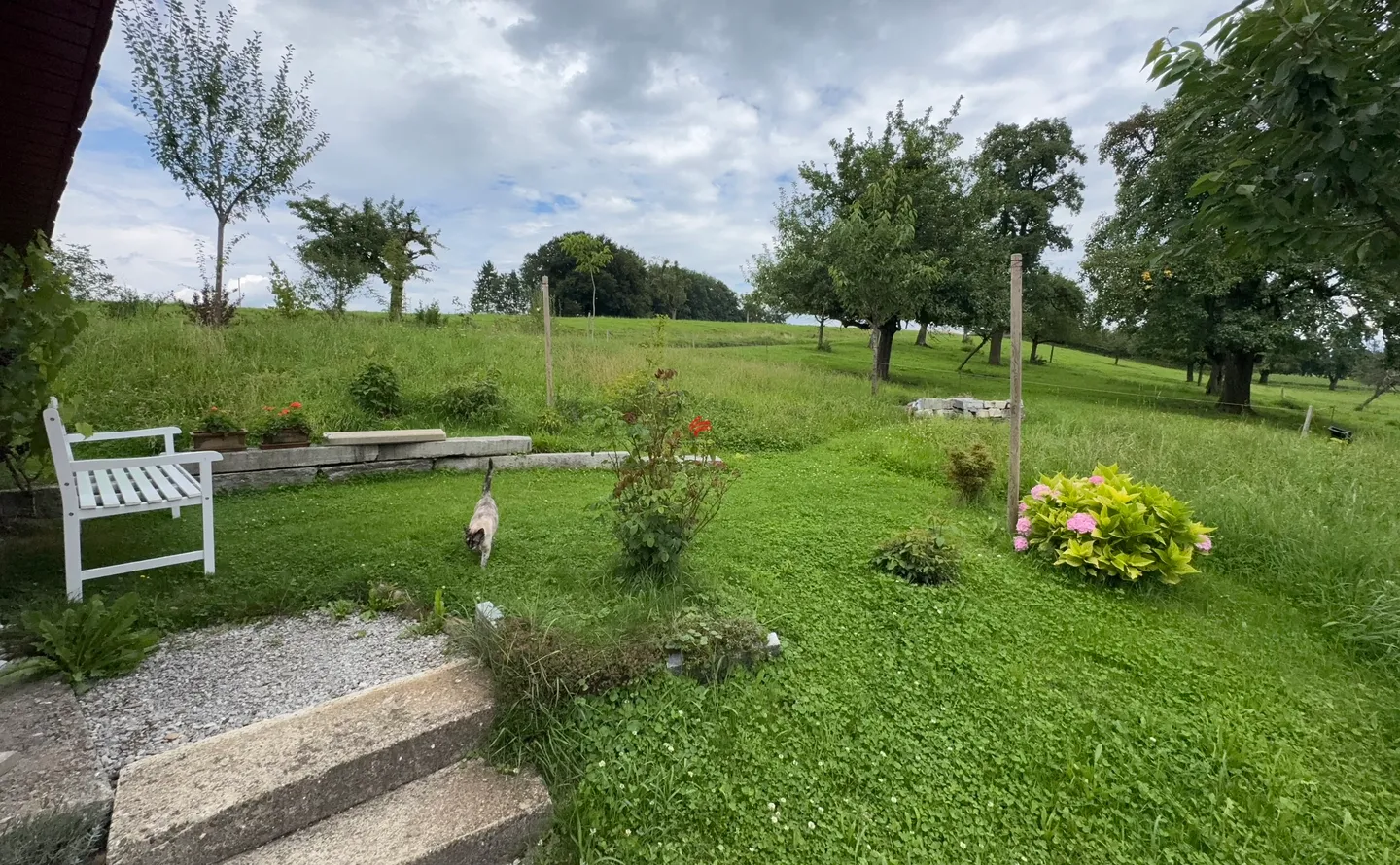 Wohnen mit Stil, Ruhe und sonnigem Garten - Foto 8 von 10