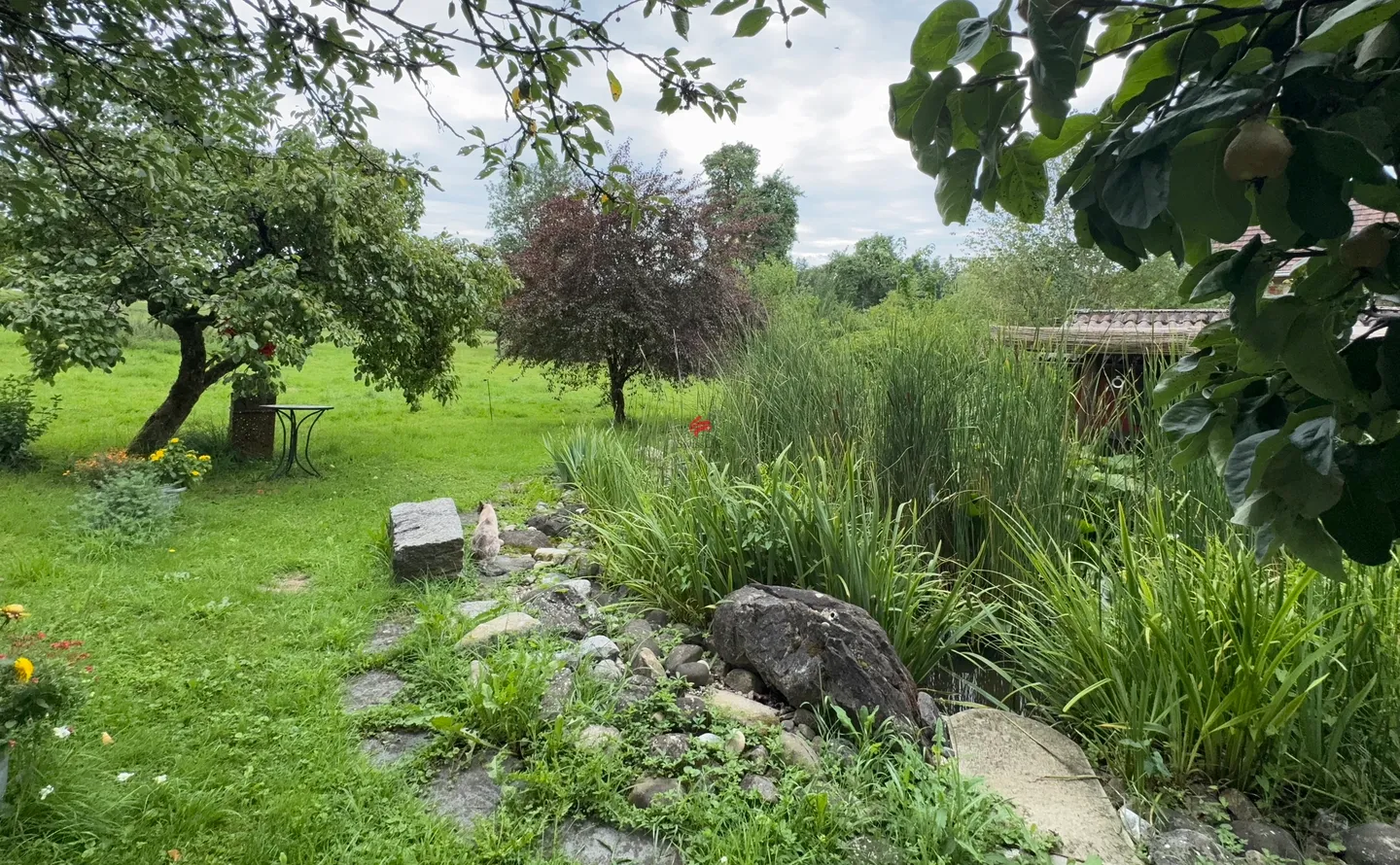 Wohnen mit Stil, Ruhe und sonnigem Garten - Foto 9 von 10