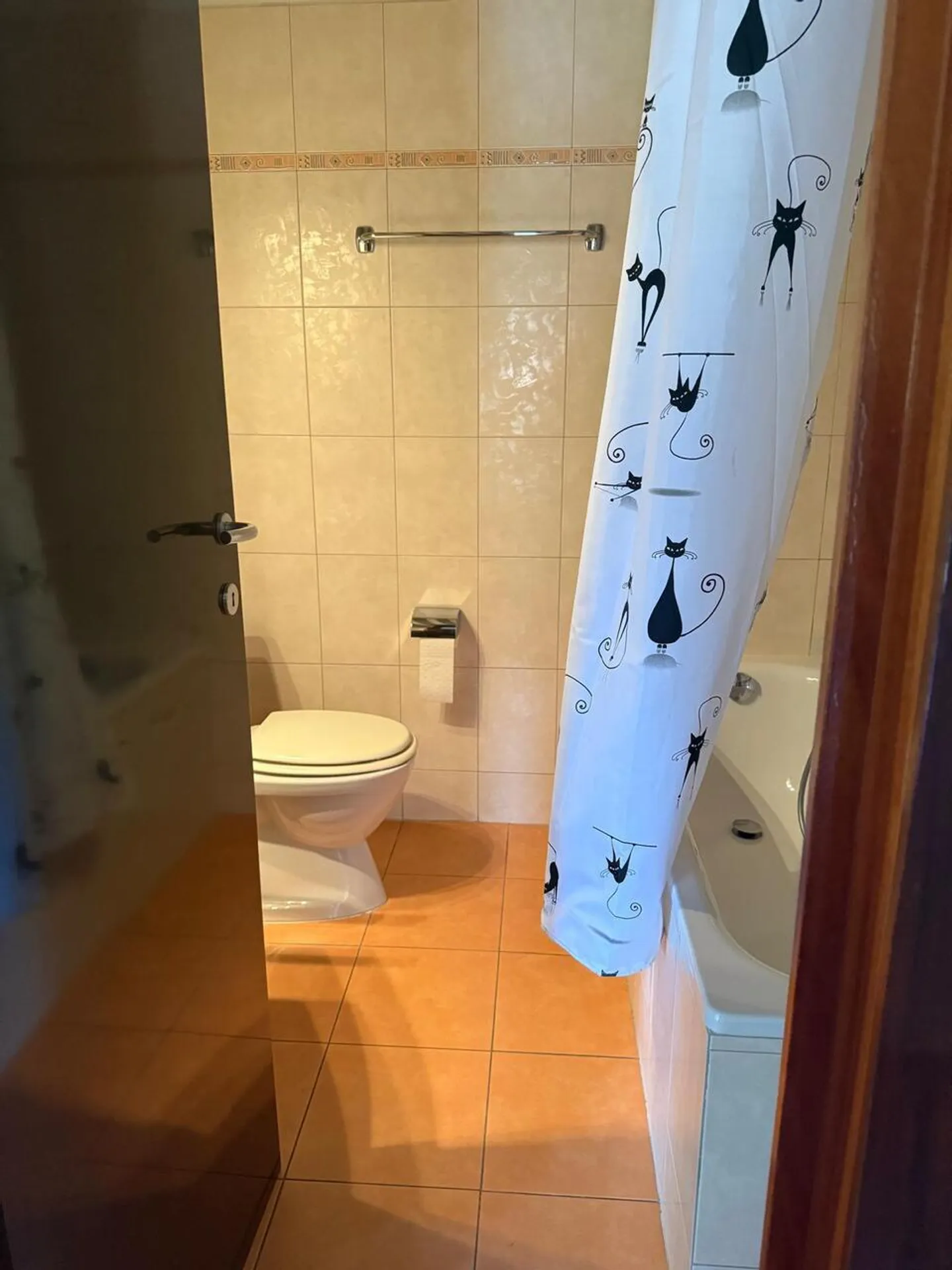 Appartamento spazioso arredato - Foto 7 di 7