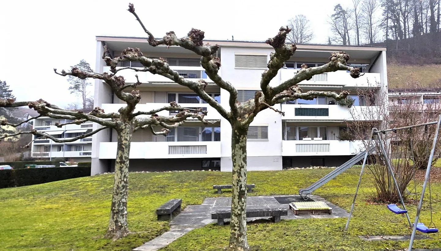 Sunny 3.5 Room Apartment in Freienstein - Photo 5 of 5