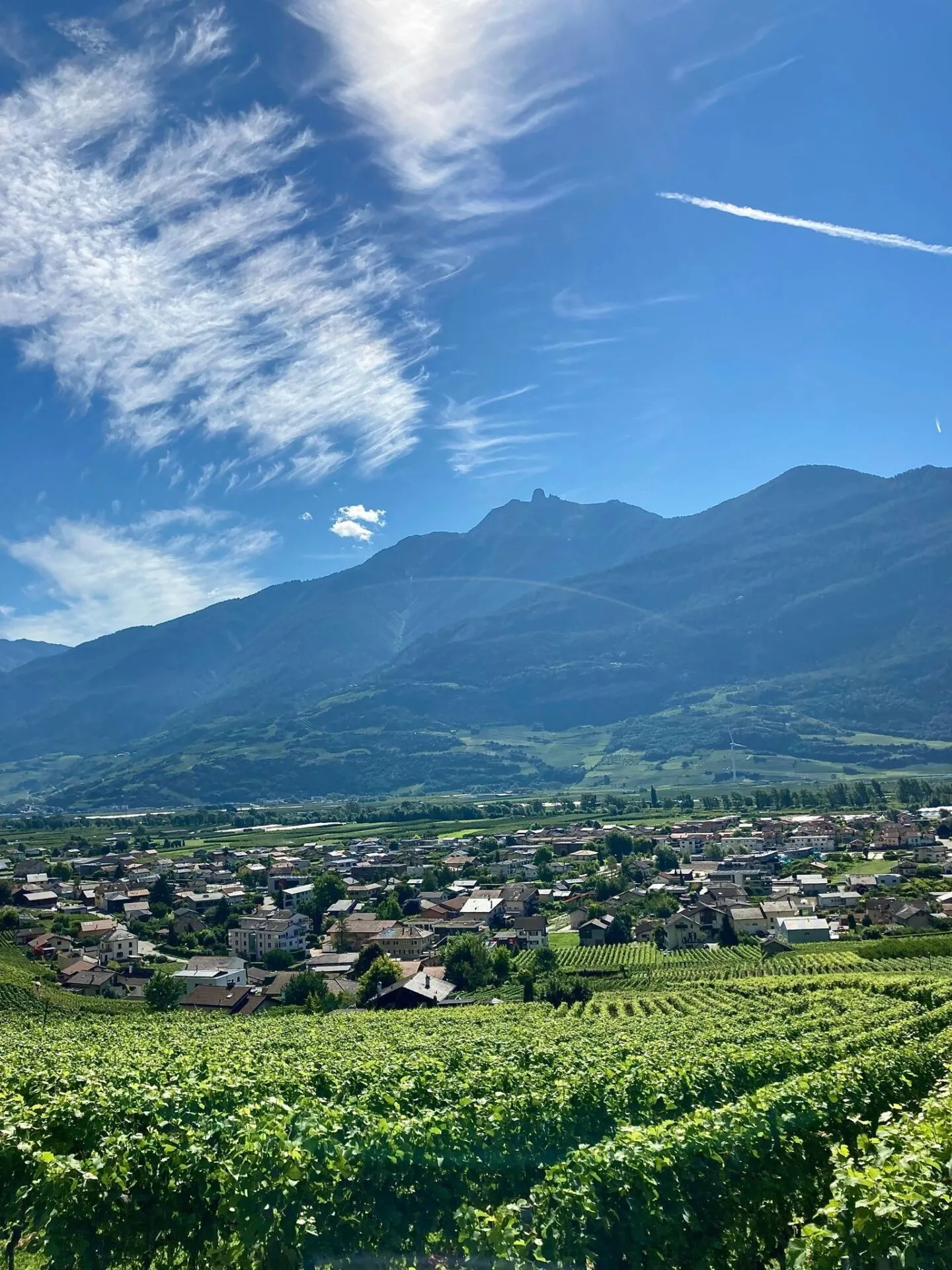 Investment opportunity near the center of Fully - Photo 18 of 18