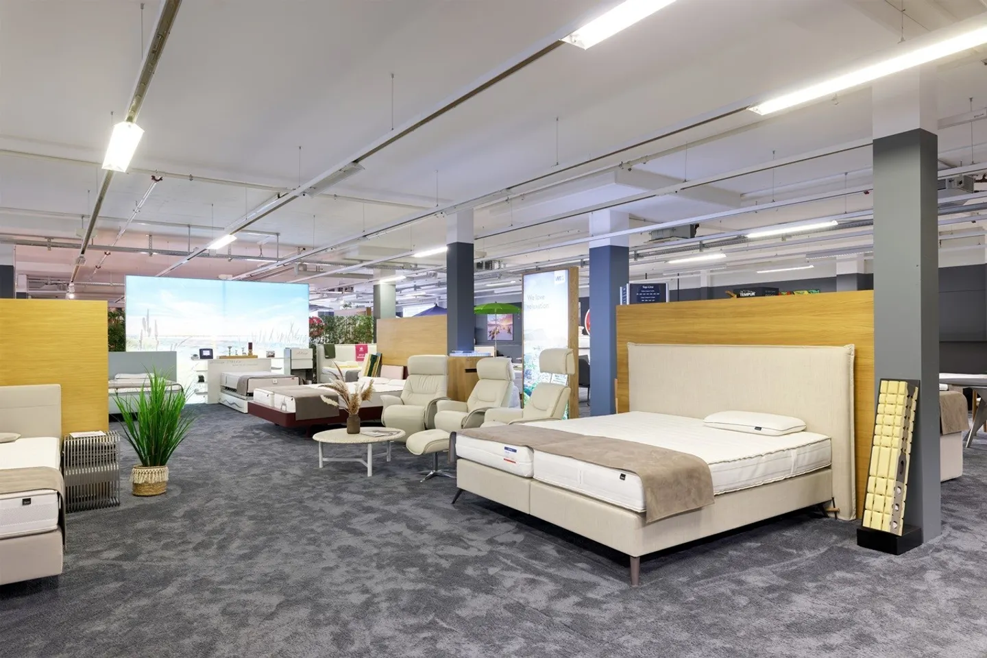 Espace Commercial avec Rampe - Photo 2 sur 13