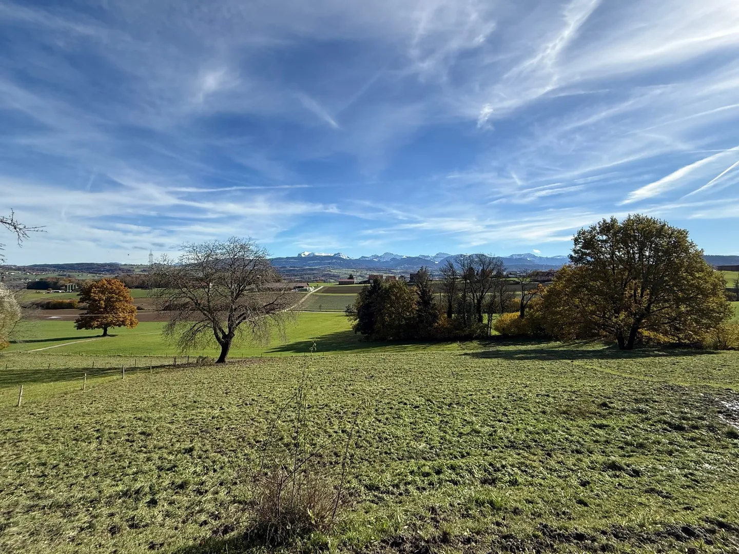 Renovation/Redesign Project - 6-Room House or Creation of 2 Apartments and Storage Space - Photo 4 of 16