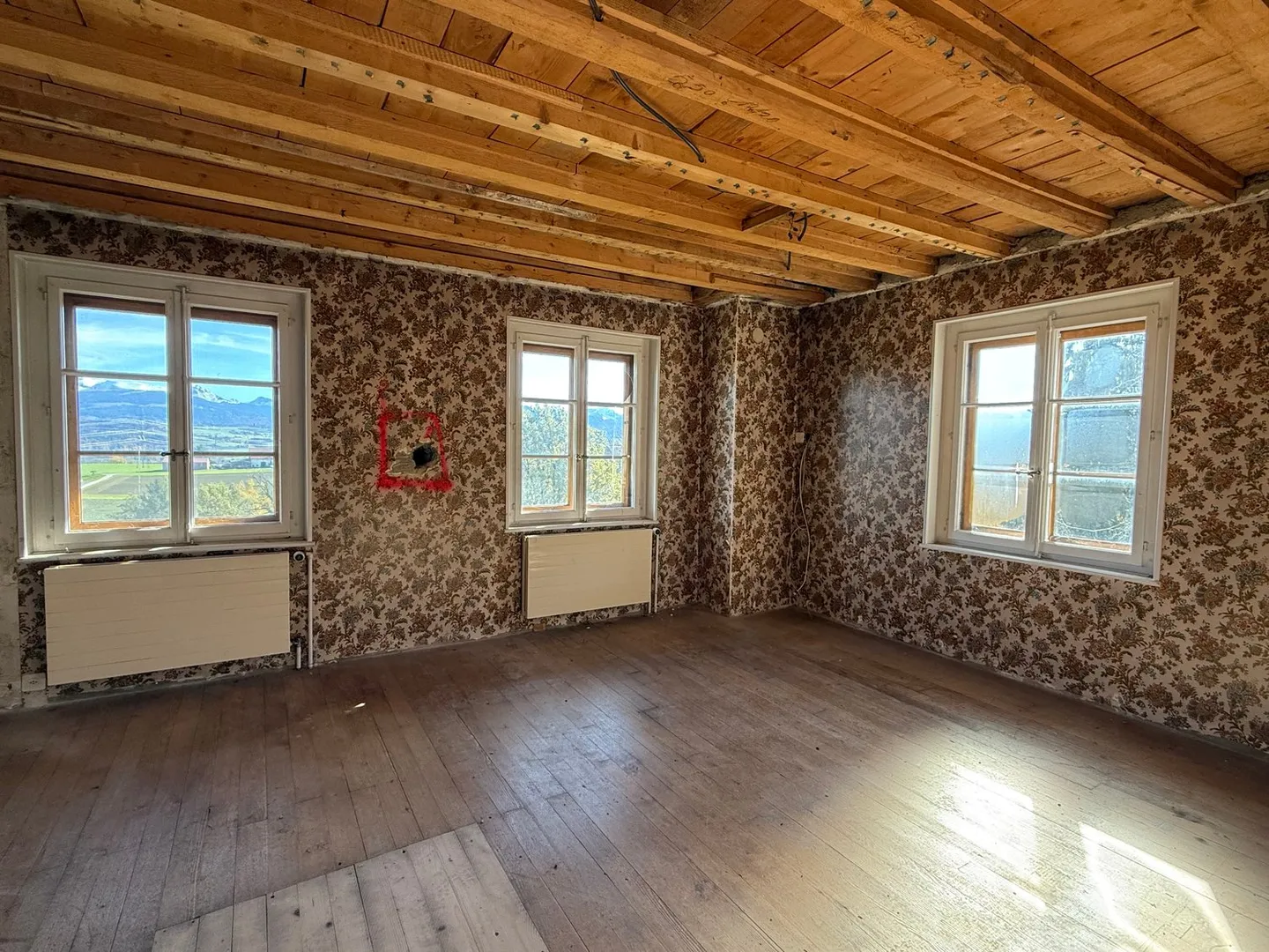 Renovation/Redesign Project - 6-Room House or Creation of 2 Apartments and Storage Space - Photo 12 of 16